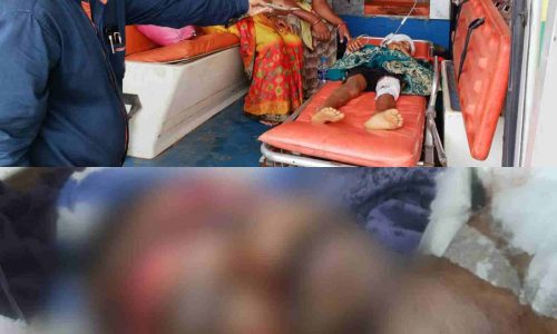 भालू के हमले से दो अलग-अलग घटनाओं में एक बच्चा सहित एक ग्रामीण हुआ घायल, वन विभाग के द्वारा दोनों घायलों को उपचार के लिए भेजा मेडिकल कॉलेज अंबिकापुर….